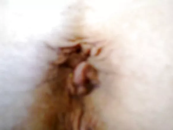 Harree gurguddaa bilchaataa dulloomaa horny.