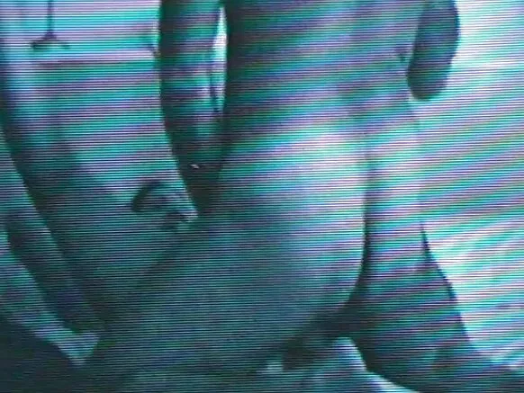 Akkan iyyu na taasisi achiis haadha bilchaataa xxx Ispeen boo'u na taasisi!